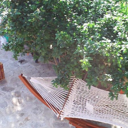 Villa Eden Altın Kumlar Dış mekan fotoğraf